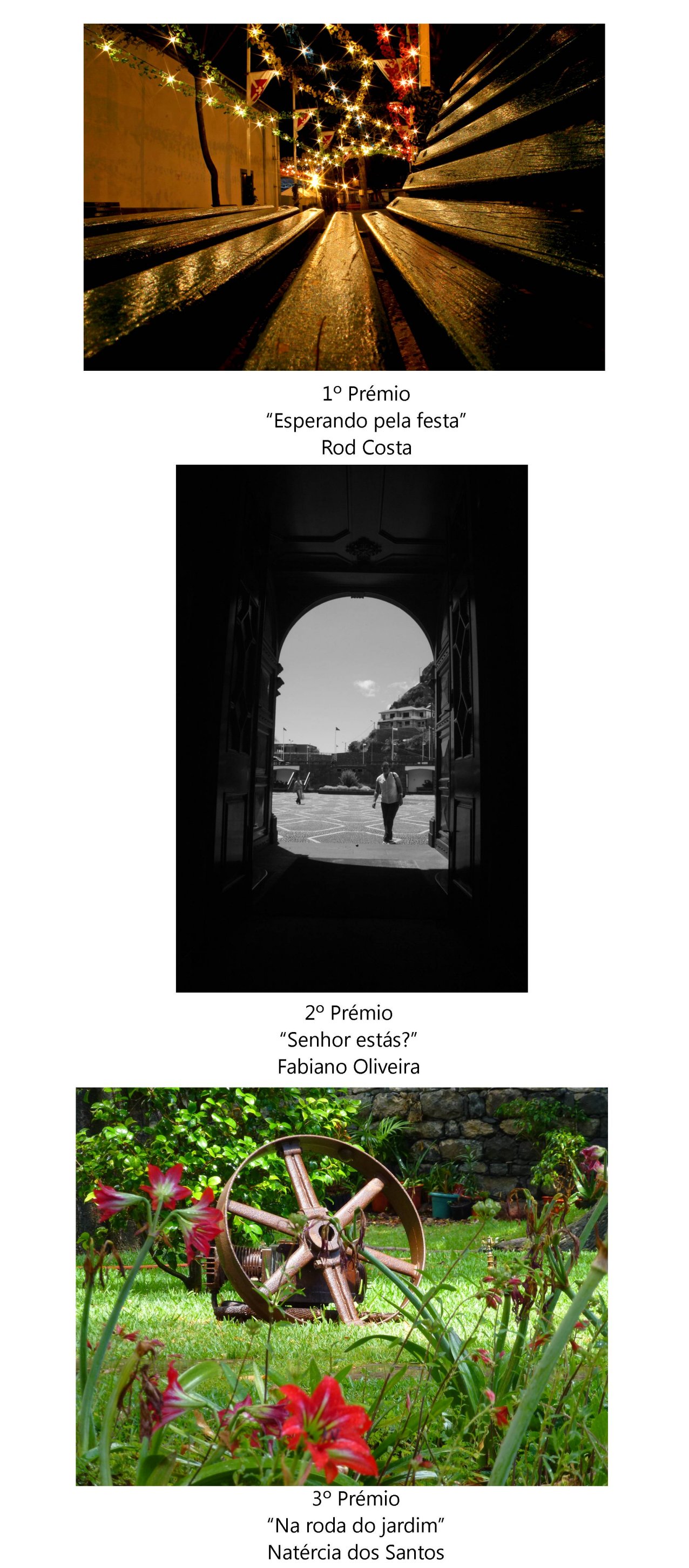 vencedoresconcursofotografia2